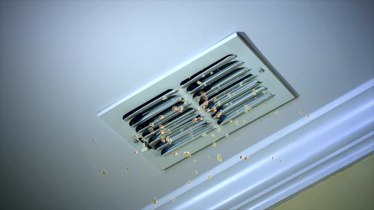 Best HVAC System Cleaning  in Plafield, IN