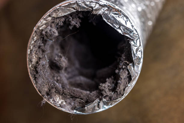 Best Affordable Duct Cleaning Services  in Plafield, IN